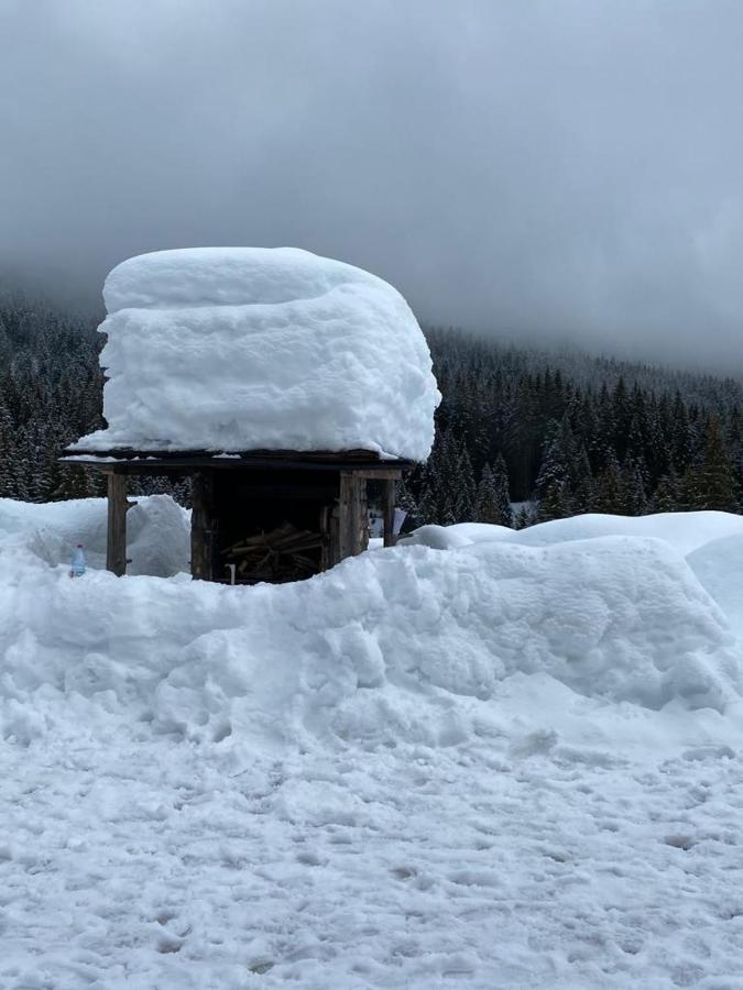 Le Reposoir Appartement
